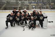 Pittsburgh Pеnguins
